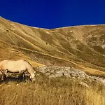 El Tarik アパート Bjelašnica