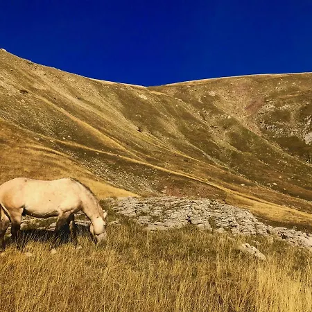 El Tarik Apartman Bjelašnica